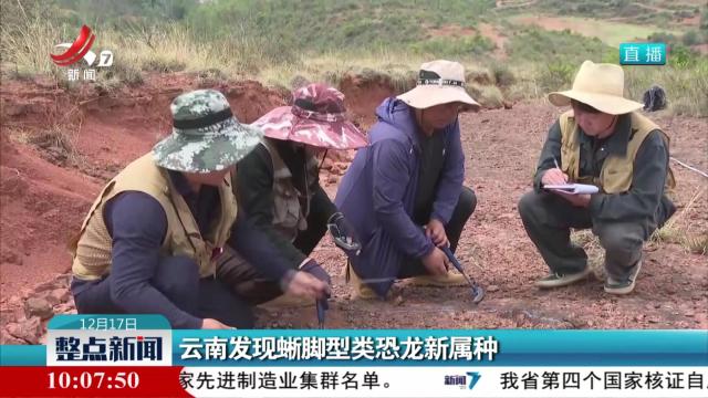云南发现蜥脚型类恐龙新属种