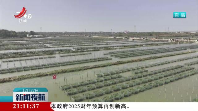 新闻夜航20241227