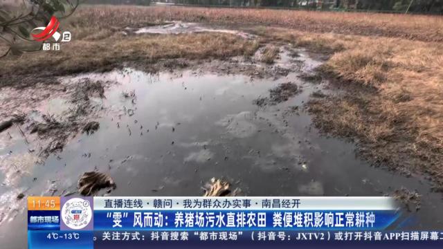都市现场·午间版20241225