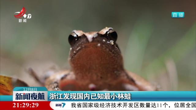 浙江发现国内已知最小林蛙