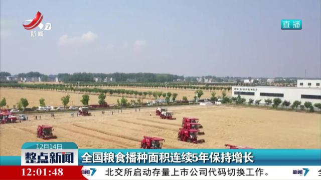 全国粮食播种面积连续5年保持增长