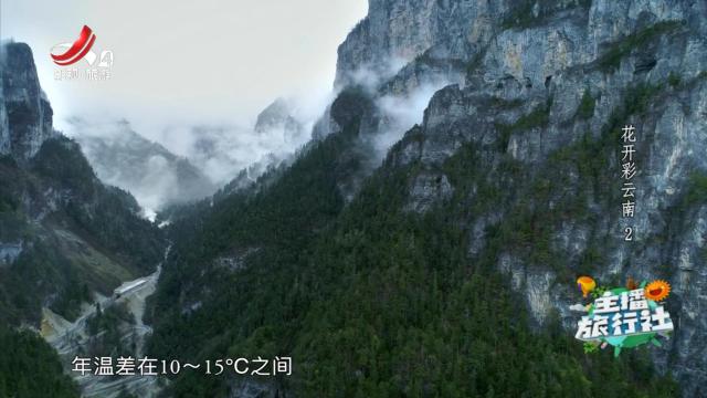 主播旅行社20241220 花开彩云南2