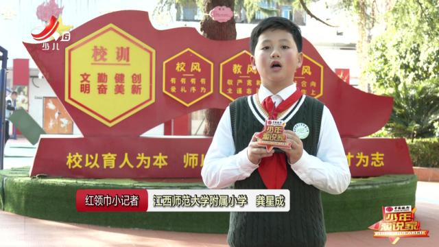 红领巾小记者20241226