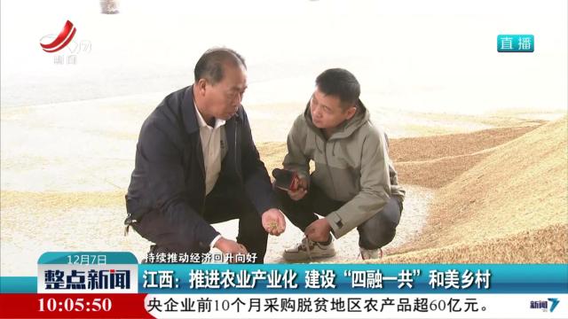 【持续推动经济回升向好】江西：推进农业产业化 建设“四融一共”和美乡村