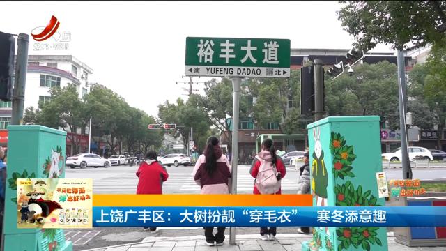 上饶广丰区：大树扮靓“穿毛衣” 寒冬添意趣