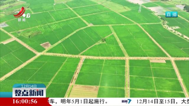 江西粮食总产连续12年稳定在430亿斤以上