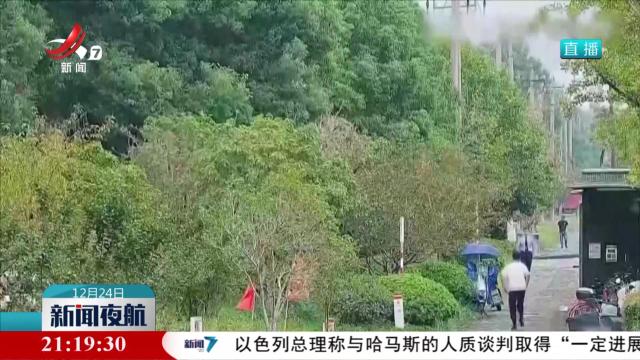 【微短剧：要流量更要质量和正能量】“霸道总裁”微短剧火热 中老年沉迷被精准“画像”