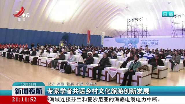 专家学者共话乡村文化旅游创新发展