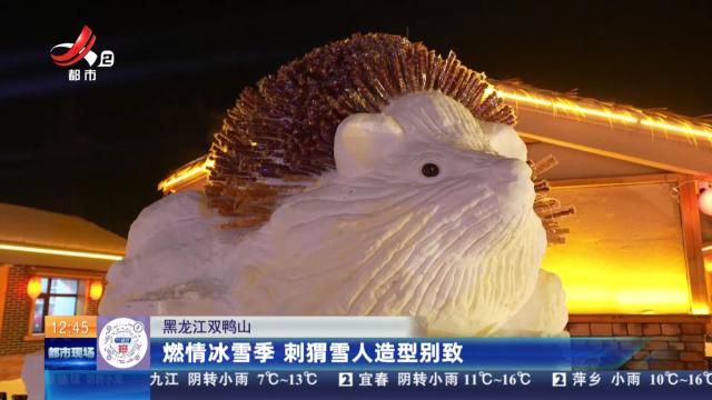 黑龙江双鸭山：燃情冰雪季 刺猬雪人造型别致