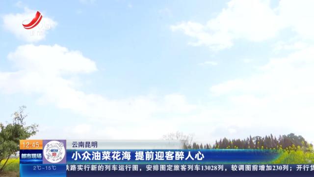 云南昆明：小众油菜花海 提前迎客醉人心