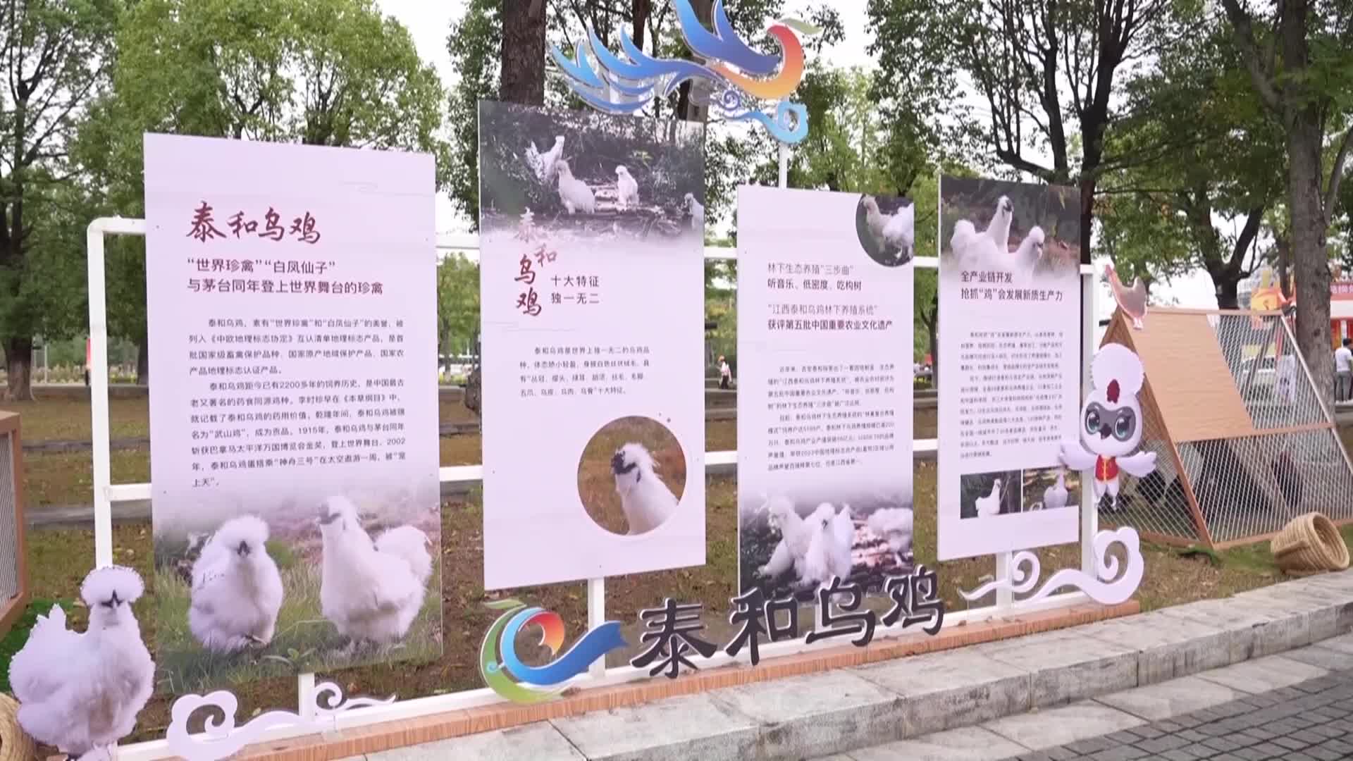 20240930《江西有好物》丰收林下汇