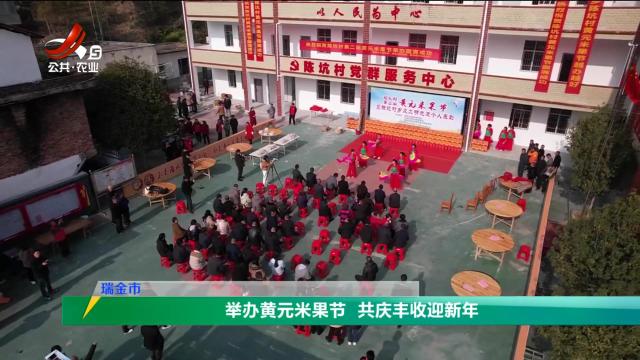 三农头条20250111