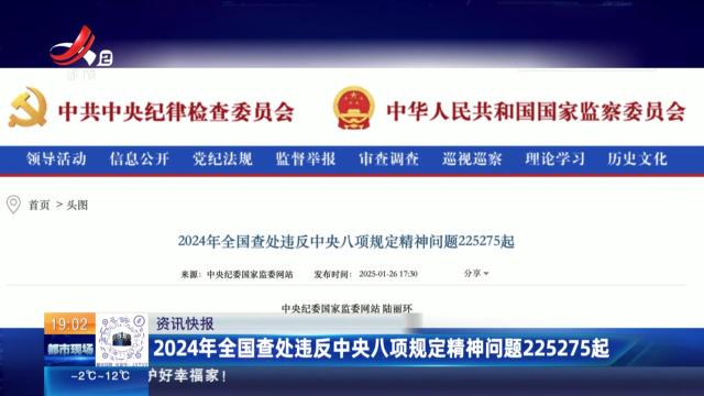2024年全国查处违反中央八项规定精神问题225275起
