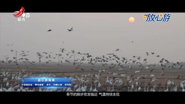 都市放心游20250119