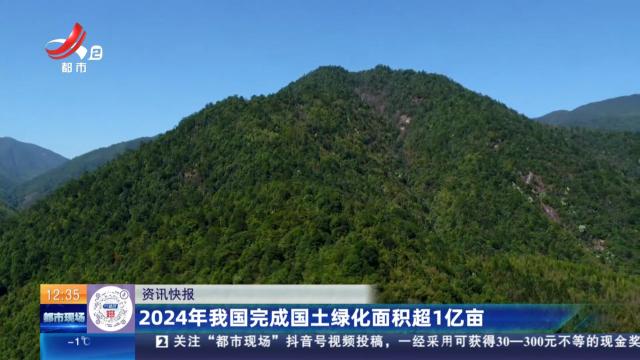 2024年我国完成国土绿化面积超1亿亩
