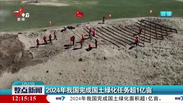 2024年我国完成国土绿化任务超1亿亩