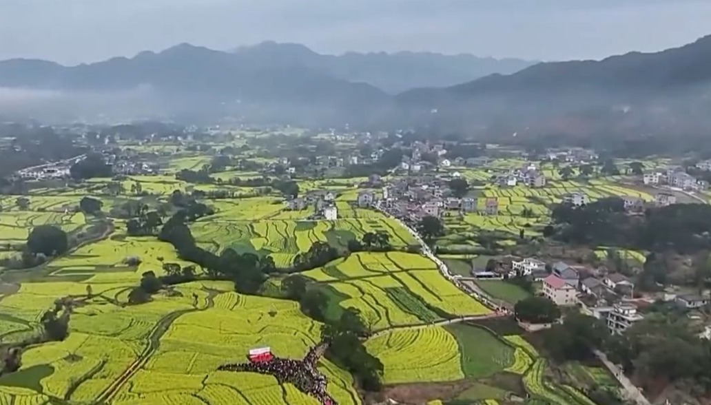 新思想引领新征程丨加快建设数字乡村 推进农业农村现代化