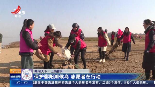 【赣闻天下】上饶鄱阳：保护鄱阳湖候鸟 志愿者在行动