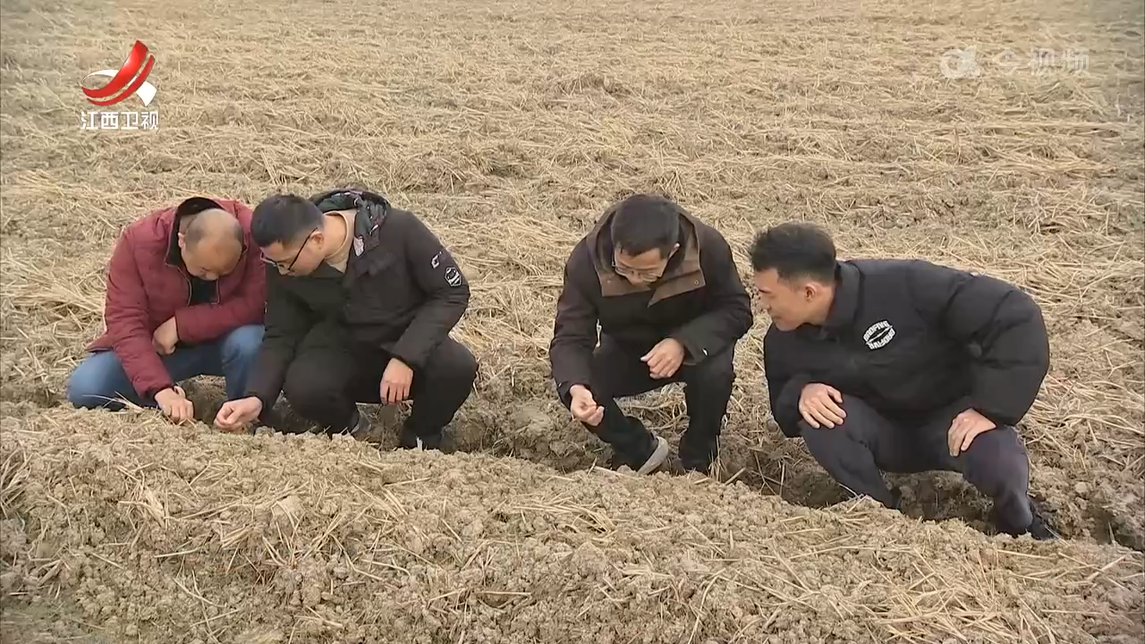 数字孪生助力灌溉精准高效
