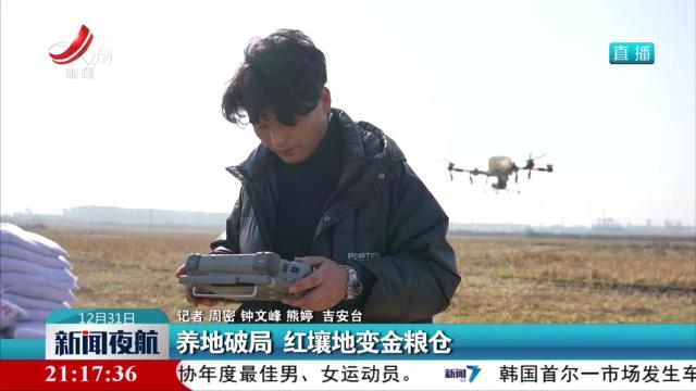 养地破局 红壤地变金粮仓