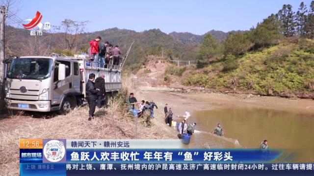 都市现场·午间版20250102