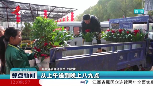 【新春看市场】新余：绿植销售火热