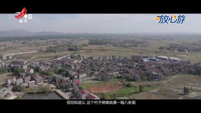 都市放心游20250105