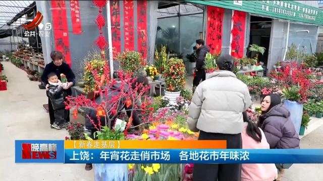 【新春走基层】上饶：年宵花走俏市场 各地花市年味浓