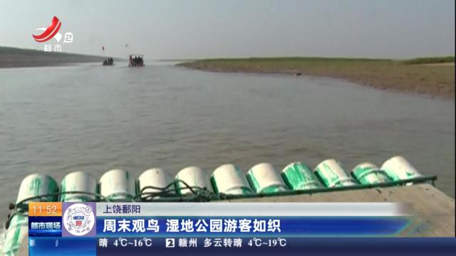 上饶鄱阳：周末观鸟 湿地公园游客如织