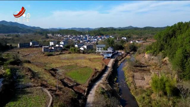 美丽江西在行动20250112 江西赣江源国家级自然保护区瑞金片区：生物多样性探秘