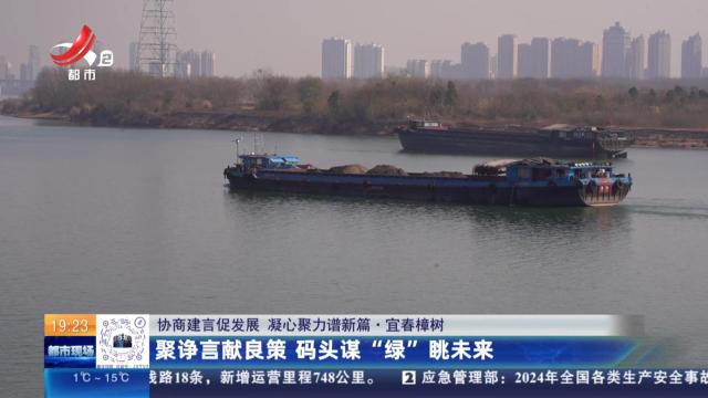 【协商建言促发展 凝心聚力谱新篇】宜春樟树：聚诤言献良策 码头谋“绿”眺未来