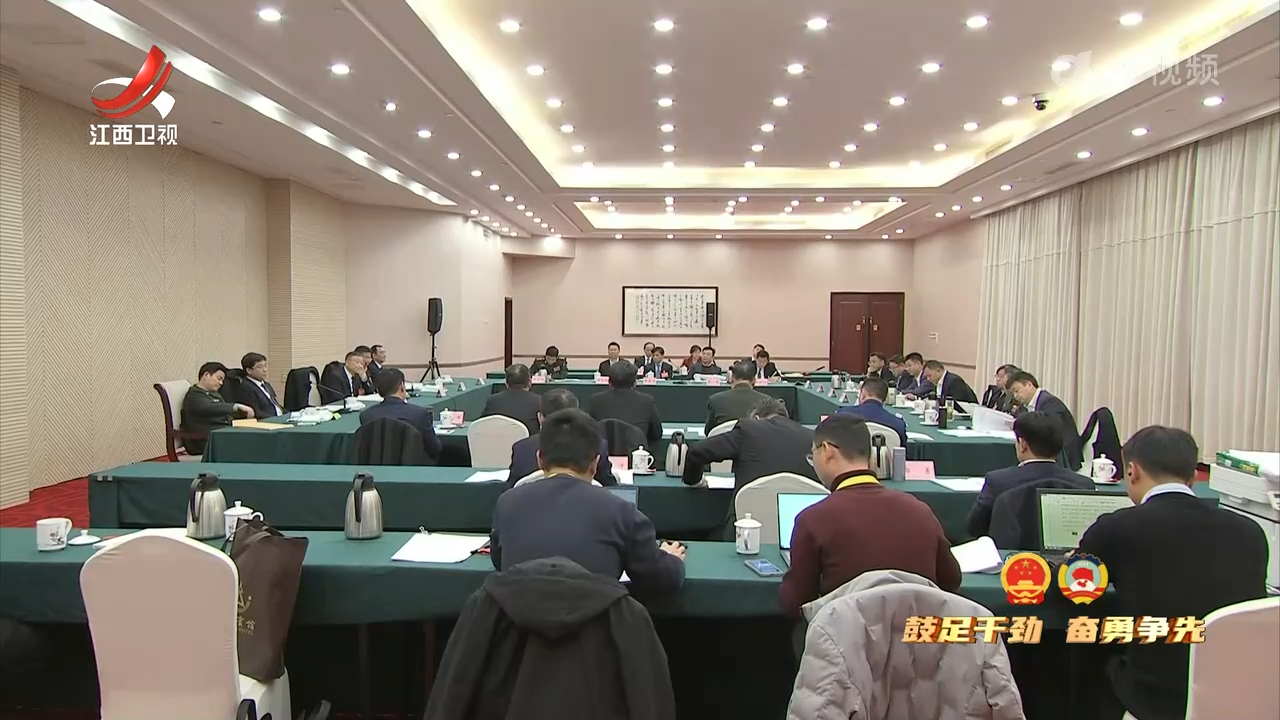 【鼓足干劲 奋勇争先】省政协委员分组讨论“两院”工作报告