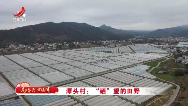 社会传真20250130 向春天 幸福年——潭头村：“硒”望的田野