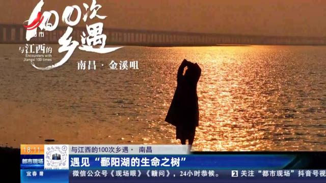 【与江西的100次乡遇】南昌：遇见“鄱阳湖的生命之树”