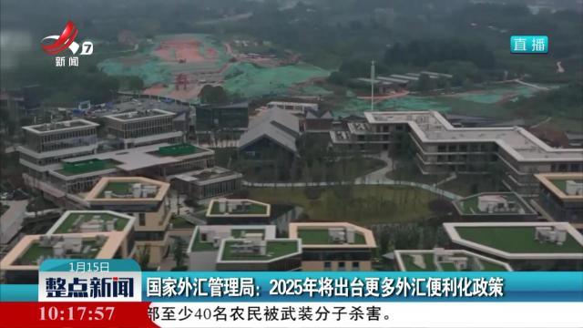 整点新闻20250115 10：00