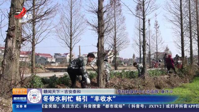 【赣闻天下】吉安泰和：冬修水利忙 畅引“丰收水”