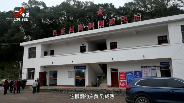 三农头条20250101