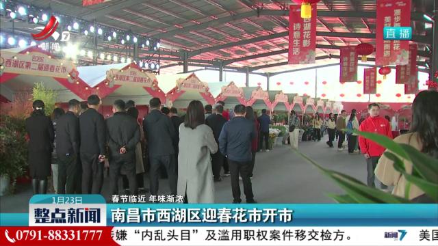 【春节临近 年味渐浓】南昌市西湖区迎春花市开市