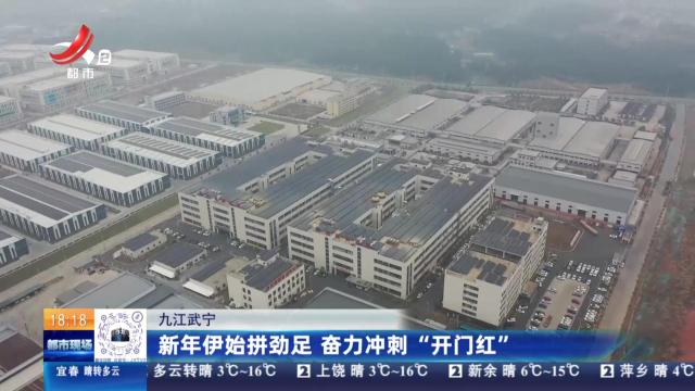 都市现场20250102