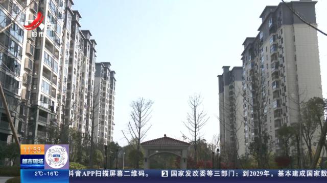 都市现场·午间版20250106