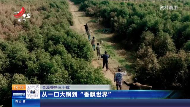 【金溪香料三十载】从一口大锅到“香飘世界”