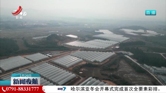 节前市场供应充足 价格稳定