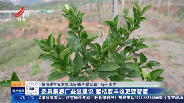 【协商建言促发展 凝心聚力谱新篇】抚州南丰：委员集思广益出建议 蜜桔要丰收更要智慧
