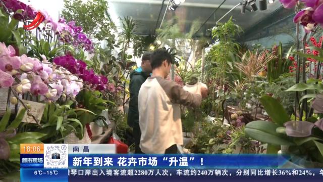 南昌：新年到来 花卉市场“升温”！