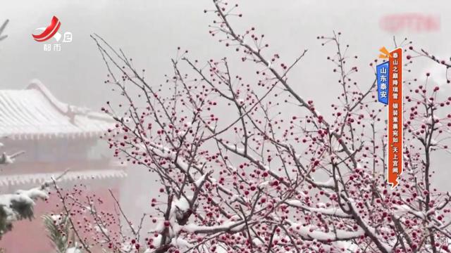 山东泰安：泰山之巅降瑞雪 银装素裹宛如“天上宫阙”