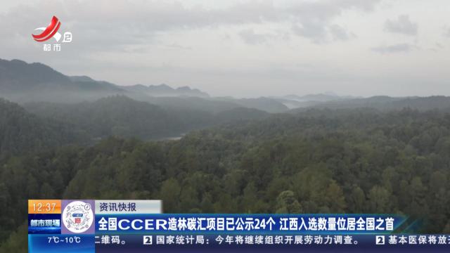 全国CCER造林碳汇项目已公示24个 江西入选数量位居全国之首