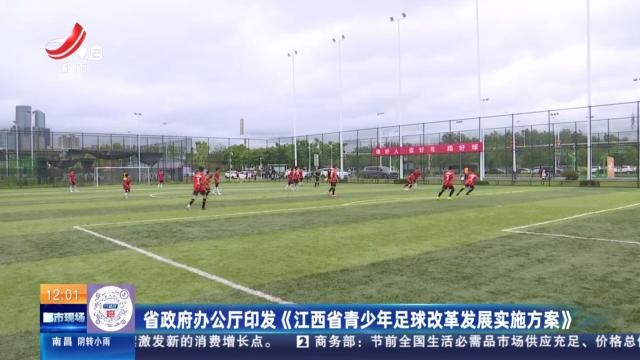 省政府办公厅印发《江西省青少年足球改革发展实施方案》