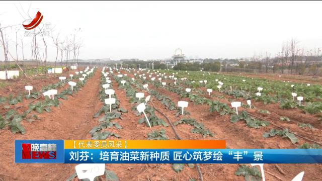 【代表委员风采】刘芬：培育油菜新种质 匠心筑梦绘“丰”景