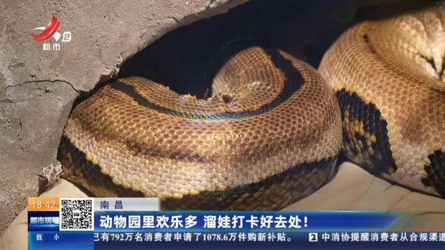 南昌：动物园里欢乐多 遛娃打卡好去处！