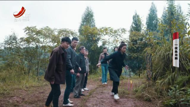 乡村栏目剧场20250129 一夜鱼龙舞